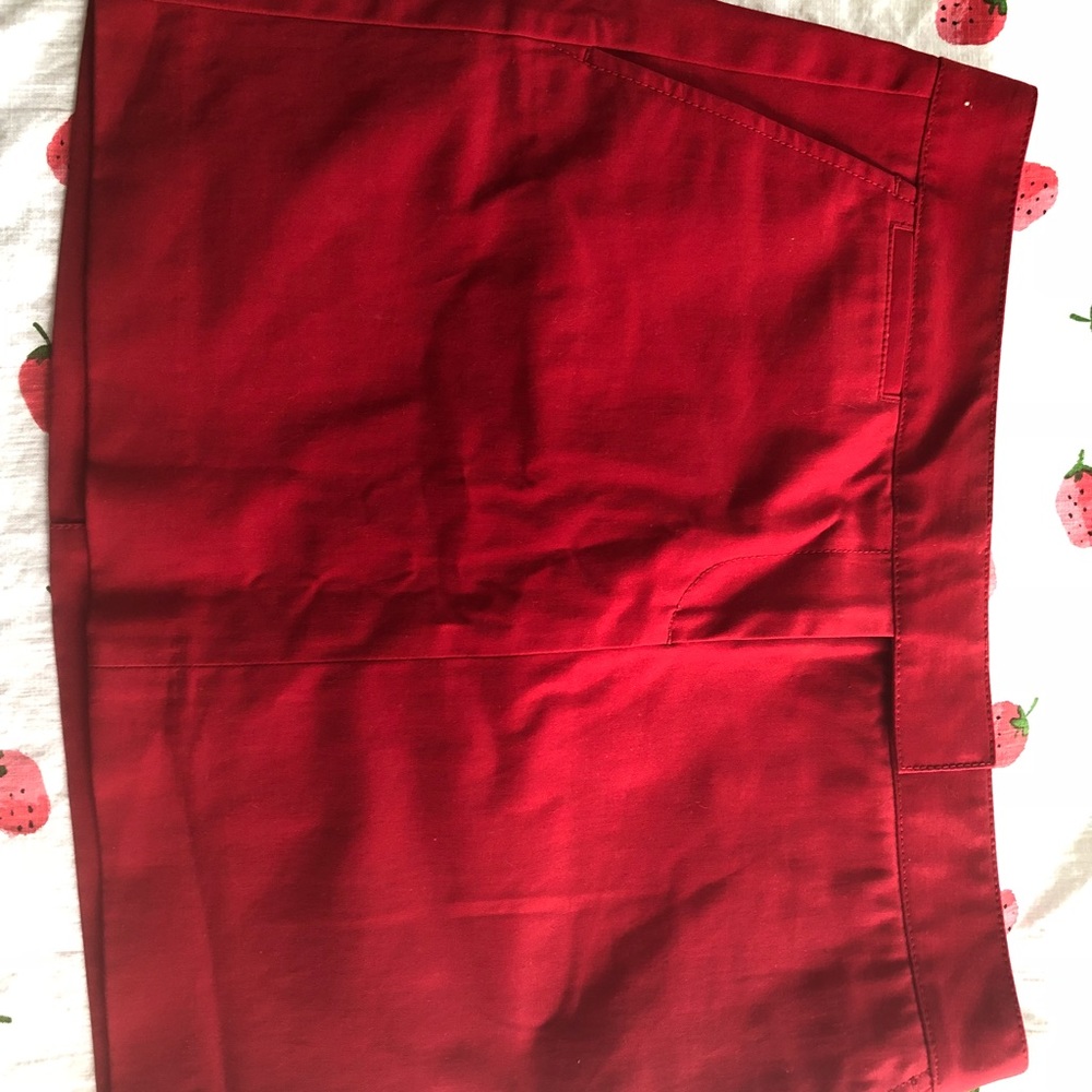 JCREW red skirt